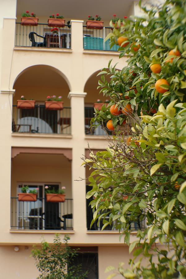 Carabeo 2000 2.3 Διαμέρισμα Nerja Εξωτερικό φωτογραφία